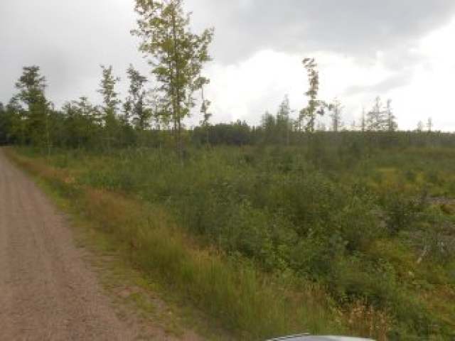 On Dynamite Road Fifield, WI 54524 - Photo 7 of 8 Gallery Image 7