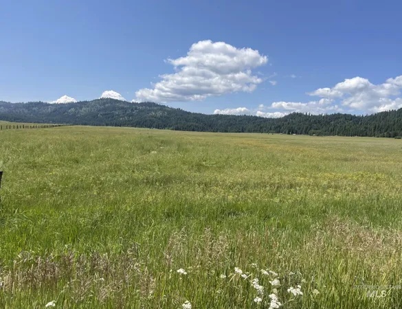 $649,900 | 163.21-ac Gray Lane, Cascade, ID 83611
