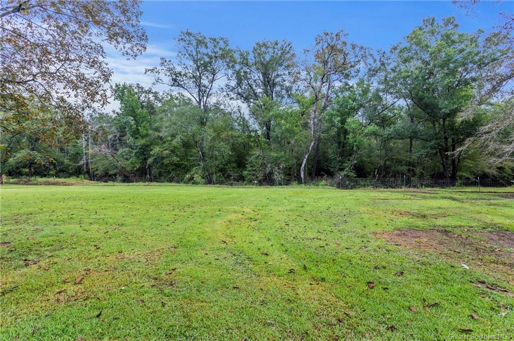 1165 Green Moore Road Starks, LA 70661 - Photo 15 of 18