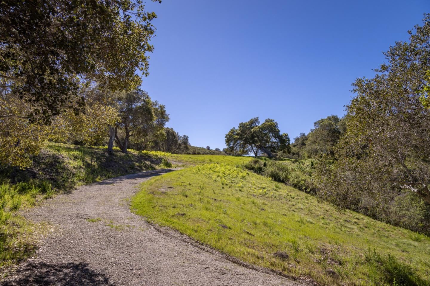 8 Corral Run Carmel, CA 93923 - Photo 3 of 15