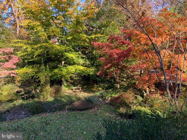 5305 Tuscarawas Road Bethesda, MD 20816 - Photo 62 of 72 Front yard in autumn