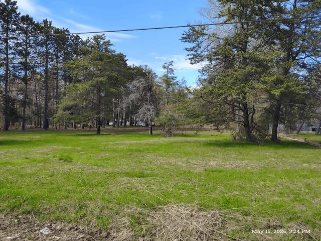 6230 Shellenbarger Road Hale, MI 48739 - Photo 42 of 46