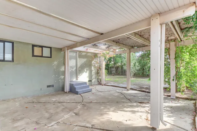 a view of a yard with plants and trees