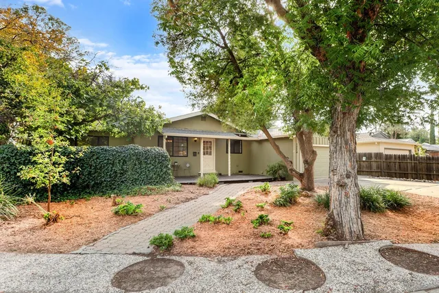 a row of palm trees in front of a house