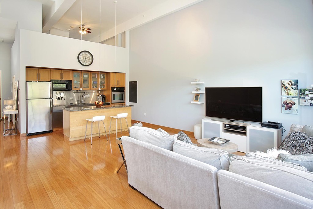 290 Pleasant Street, Unit 208 Watertown, MA 02472 - Photo 3 of 7