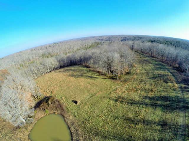 801 Collier Bend Road Charlotte, TN 37036 - Photo 4 of 20 Gallery Image 4
