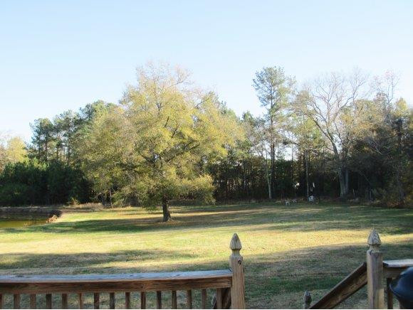 5990 Rumley Road Graham, NC 27253 - Photo 16 of 16 Gallery Image 16