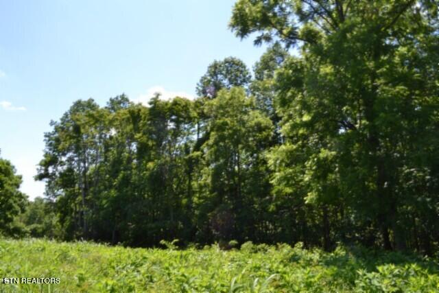 2390 Pea Ridge Fire Tower Road Celina, TN 38551 - Photo 47 of 58 DSC_0143