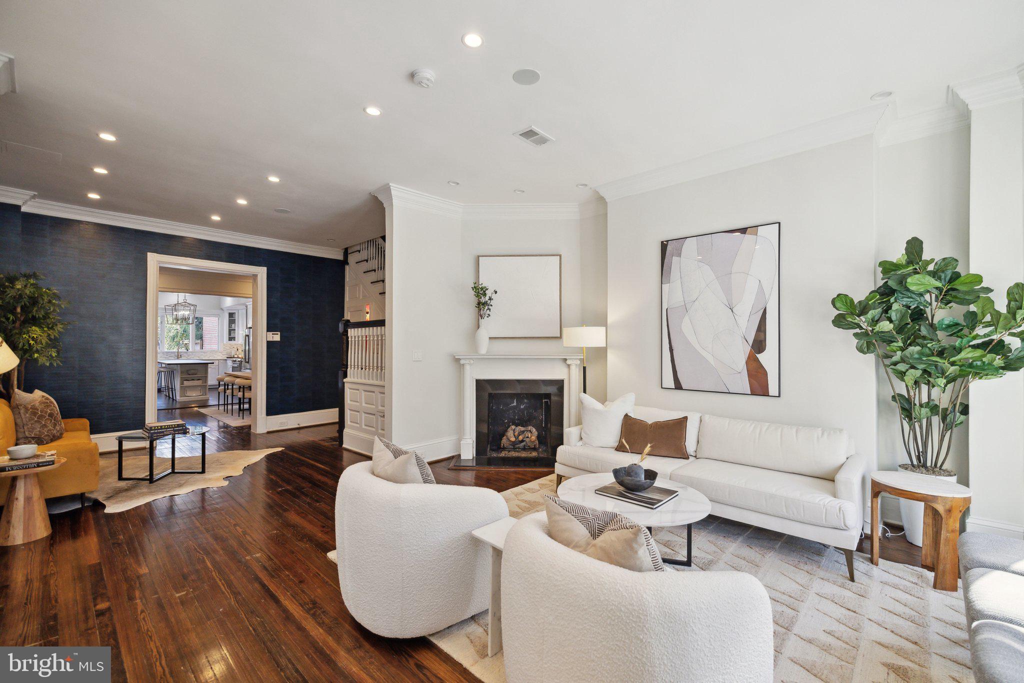1527 31st Street Northwest Washington, DC 20007 - Photo 3 of 29 a living room with furniture a fireplace and a potted plant
