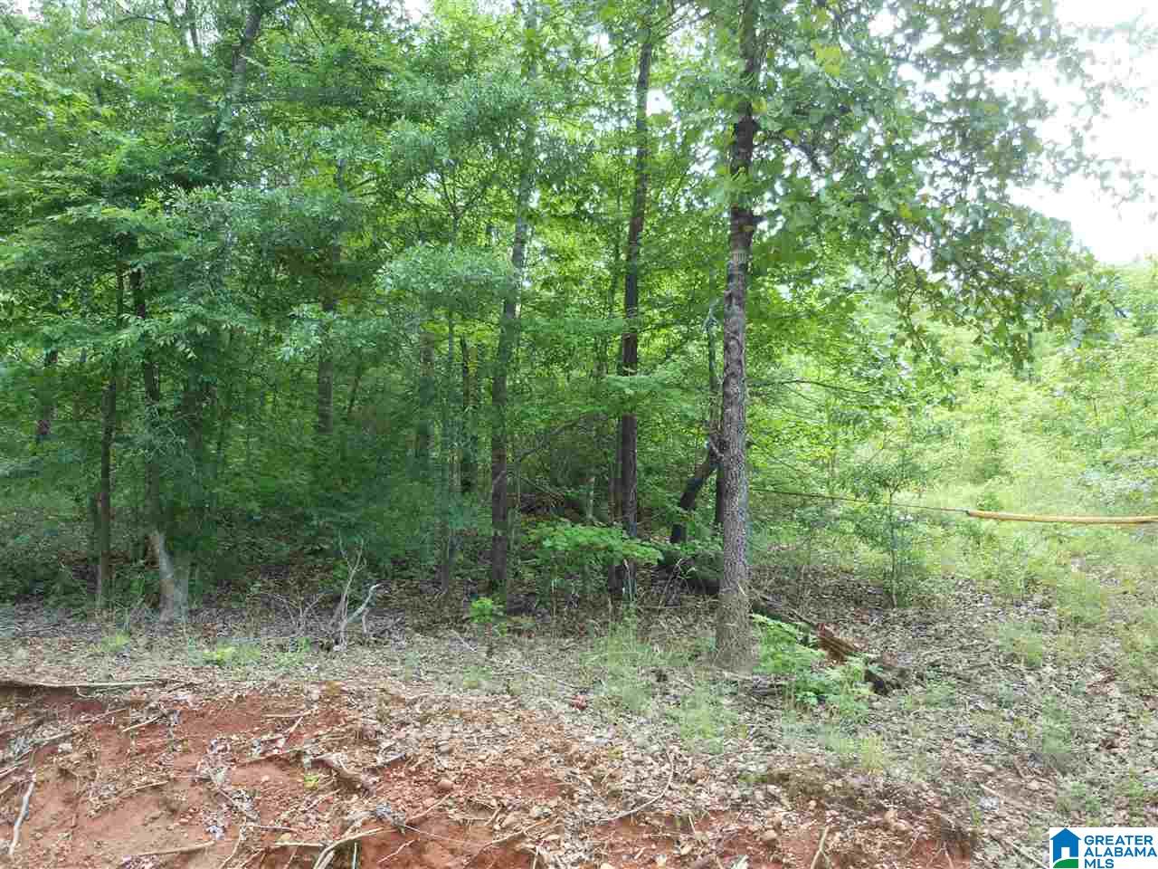 Heasletts Road Childersburg, AL 35044 - Photo 1 of 2