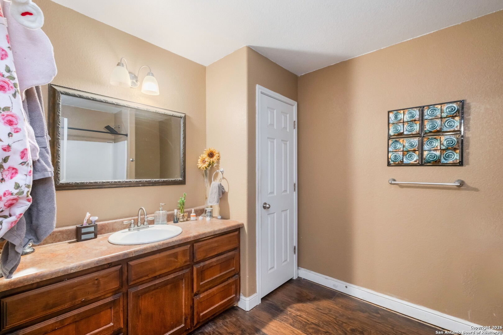 1655 Eichman Road Poteet, TX 78065 - Photo 22 of 45 a bathroom with a sink and a mirror