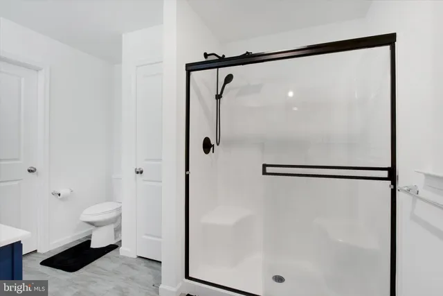 a bathroom with a shower and a toilet