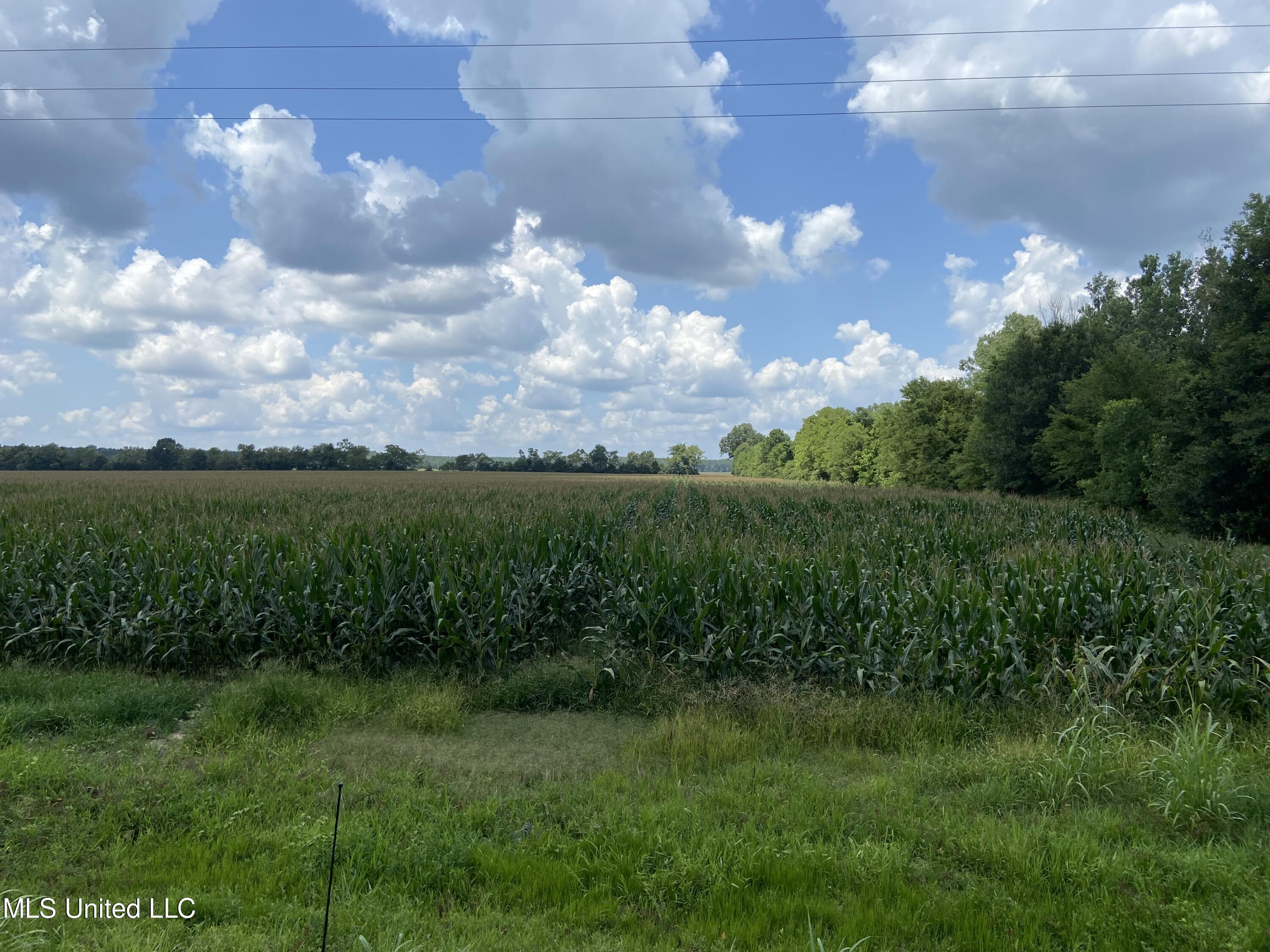Irwin Road Bentonia, MS 39040 - Photo 2 of 5 IMG_6169