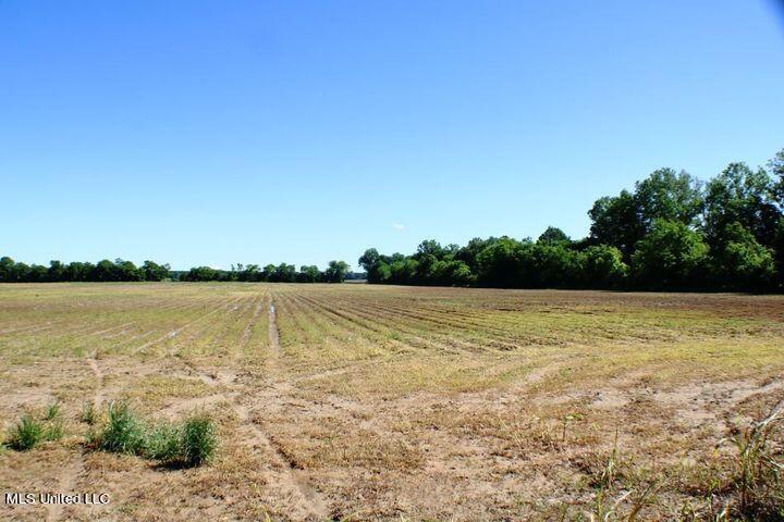 Irwin Road Bentonia, MS 39040 - Photo 3 of 5 2