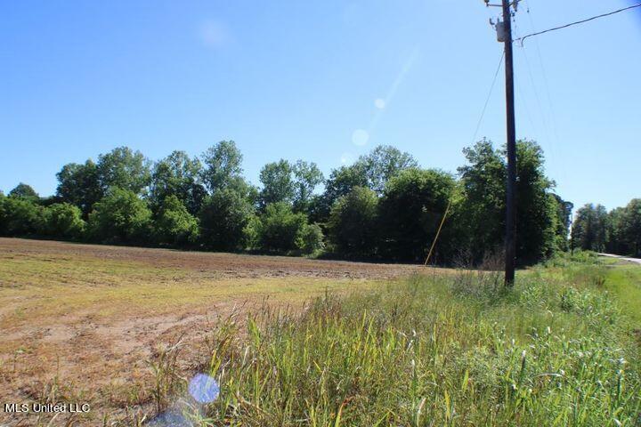 Irwin Road Bentonia, MS 39040 - Photo 4 of 5 3