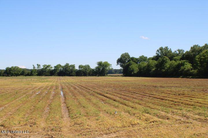 Irwin Road Bentonia, MS 39040 - Photo 5 of 5 4