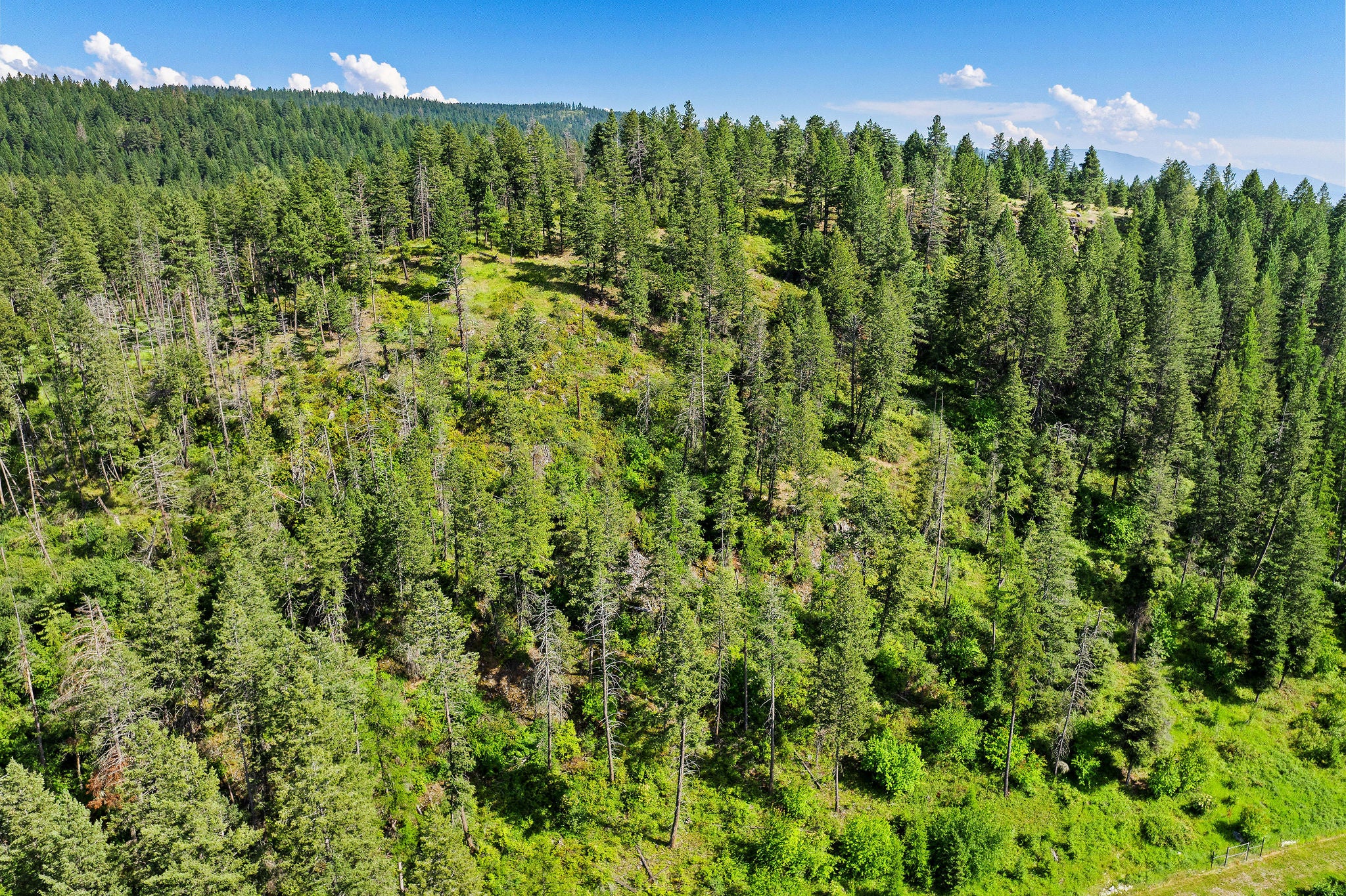 338 Flathead Lodge Road Bigfork, MT 59911 - Photo 59 of 62 Gallery Image 59