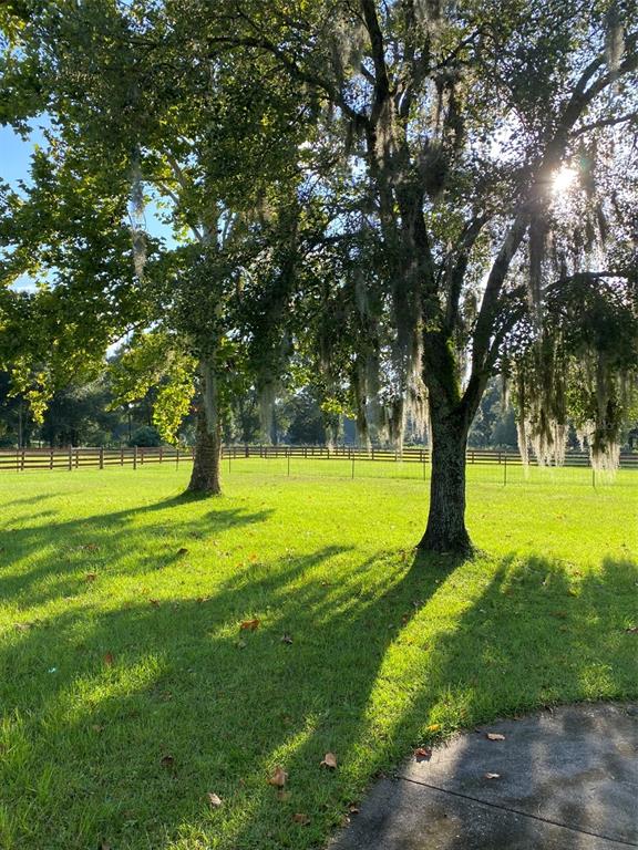 10 Southwest 50th Avenue Bell, FL 32619 - Photo 39 of 45