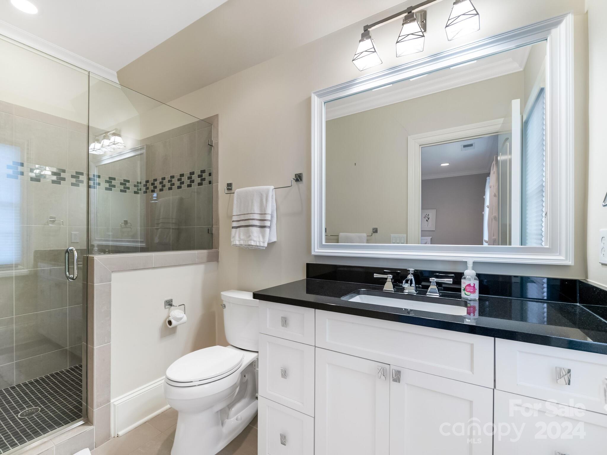 1271 Andover Road Charlotte, NC 28211 - Photo 32 of 40 a bathroom with a granite countertop sink a toilet a mirror and shower