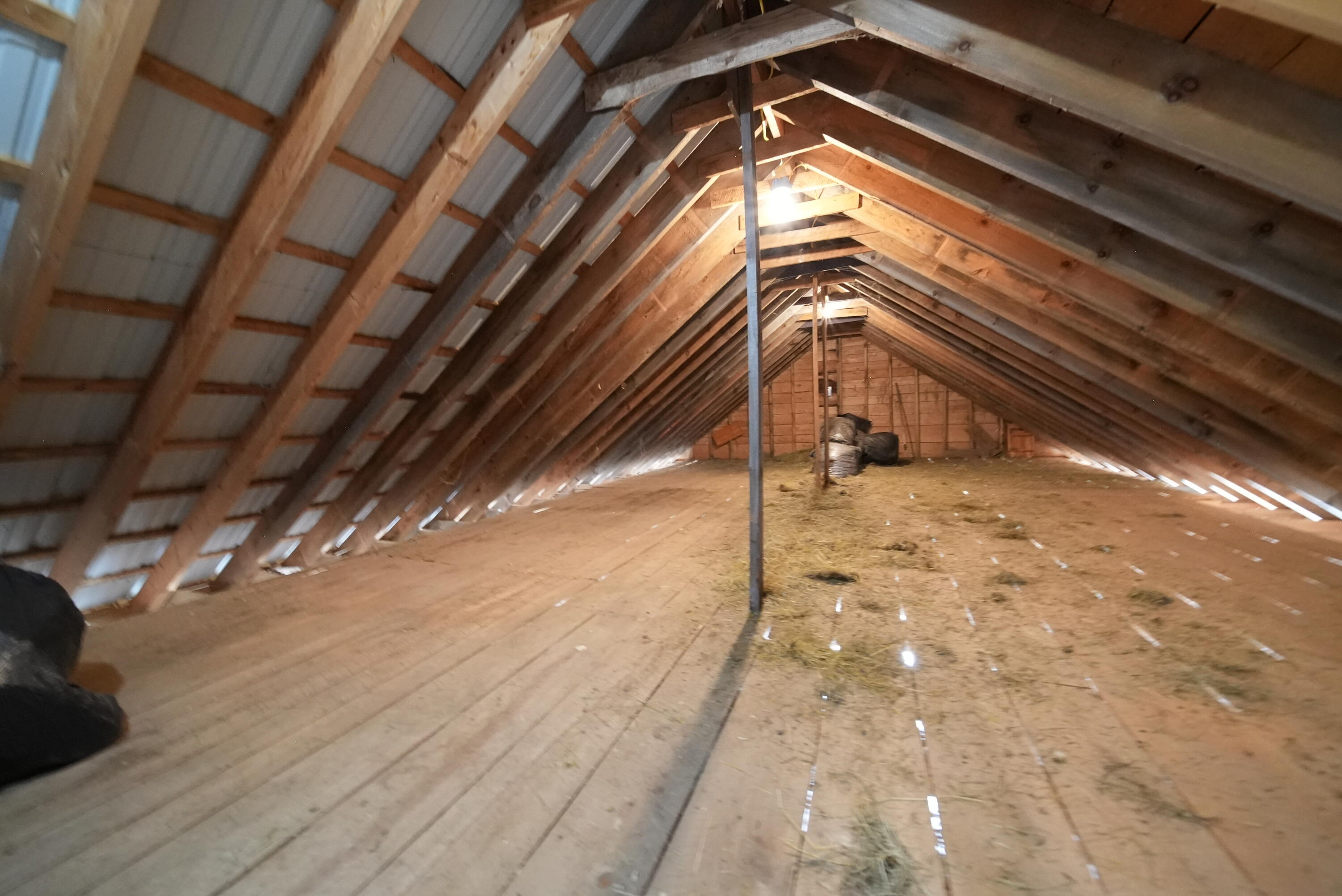 899 Golden Ridge Road Sherman, ME 04776 - Photo 43 of 74 DSC05158