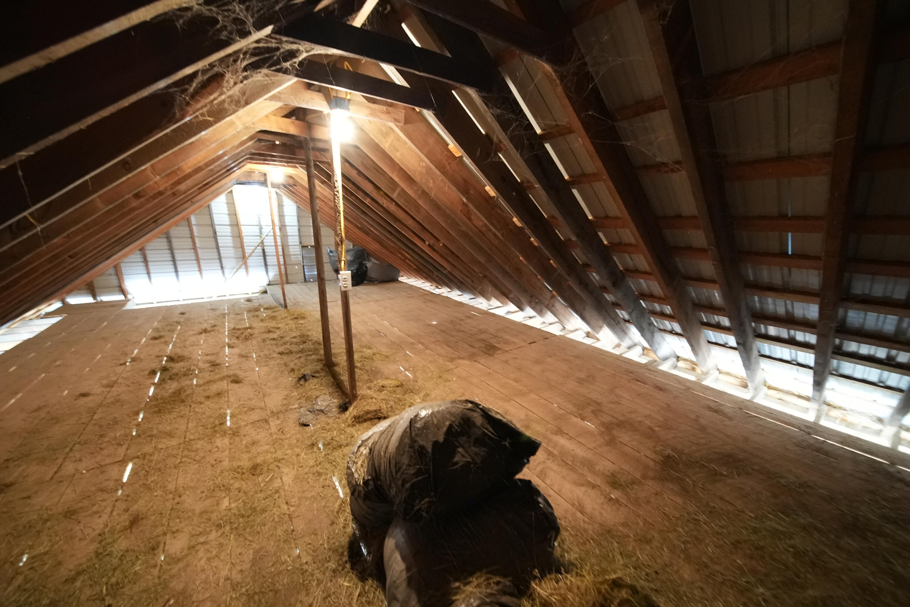 899 Golden Ridge Road Sherman, ME 04776 - Photo 44 of 74 DSC05160