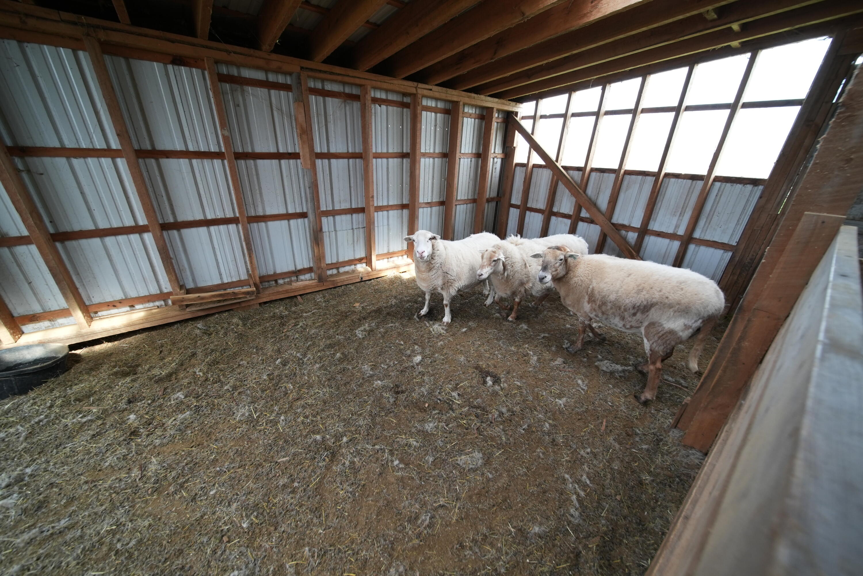 899 Golden Ridge Road Sherman, ME 04776 - Photo 46 of 74 DSC05162