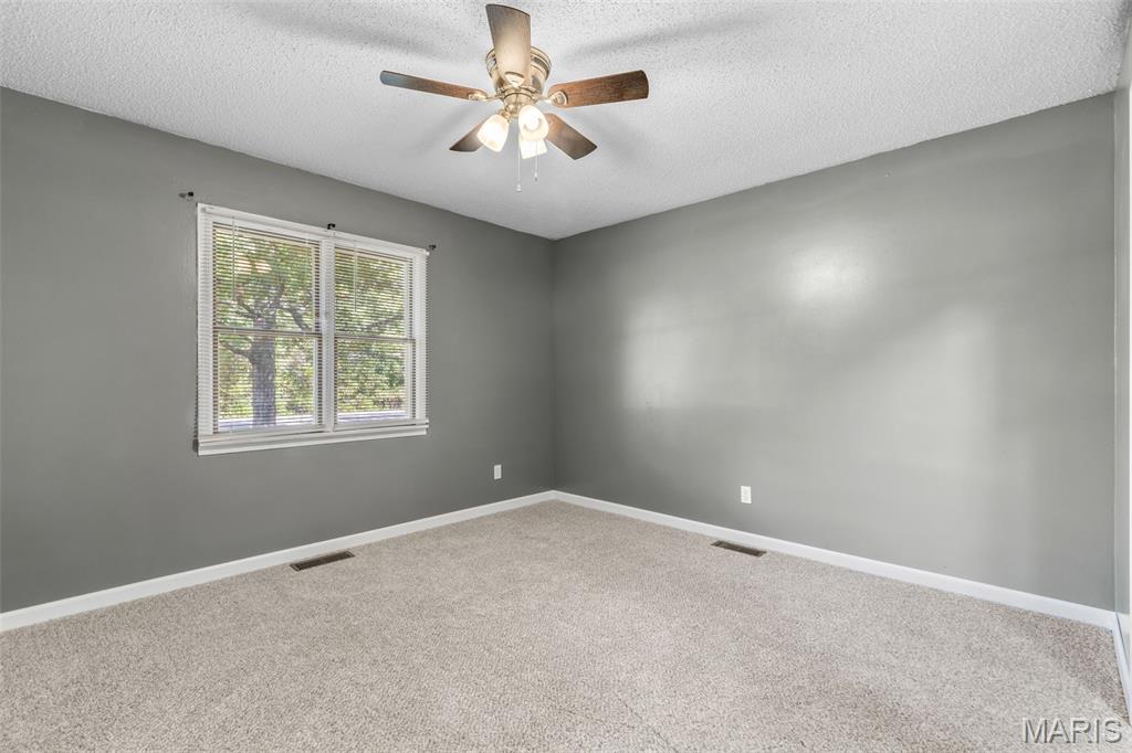 1568 Rue Riviera Bonne Terre, MO 63628 - Photo 46 of 62