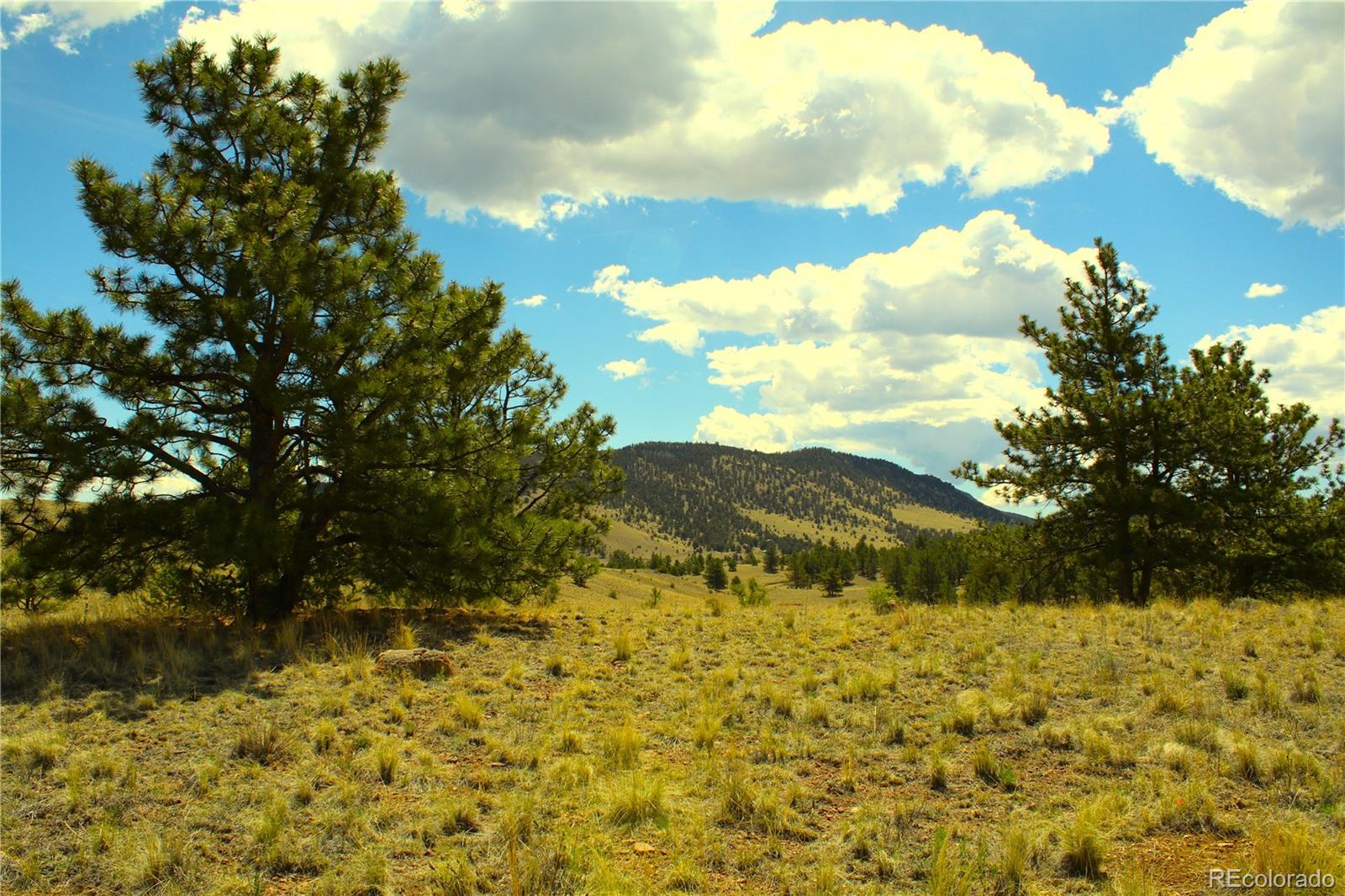60 Hill Road Hartsel, CO 80449 - Photo 10 of 15