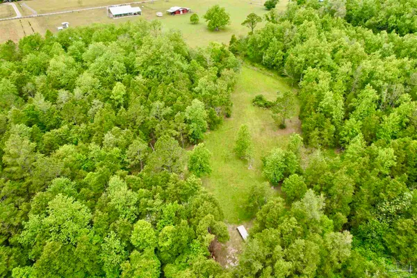 $895,000 | 4425 Dream Acres Road, Molino, FL 32577