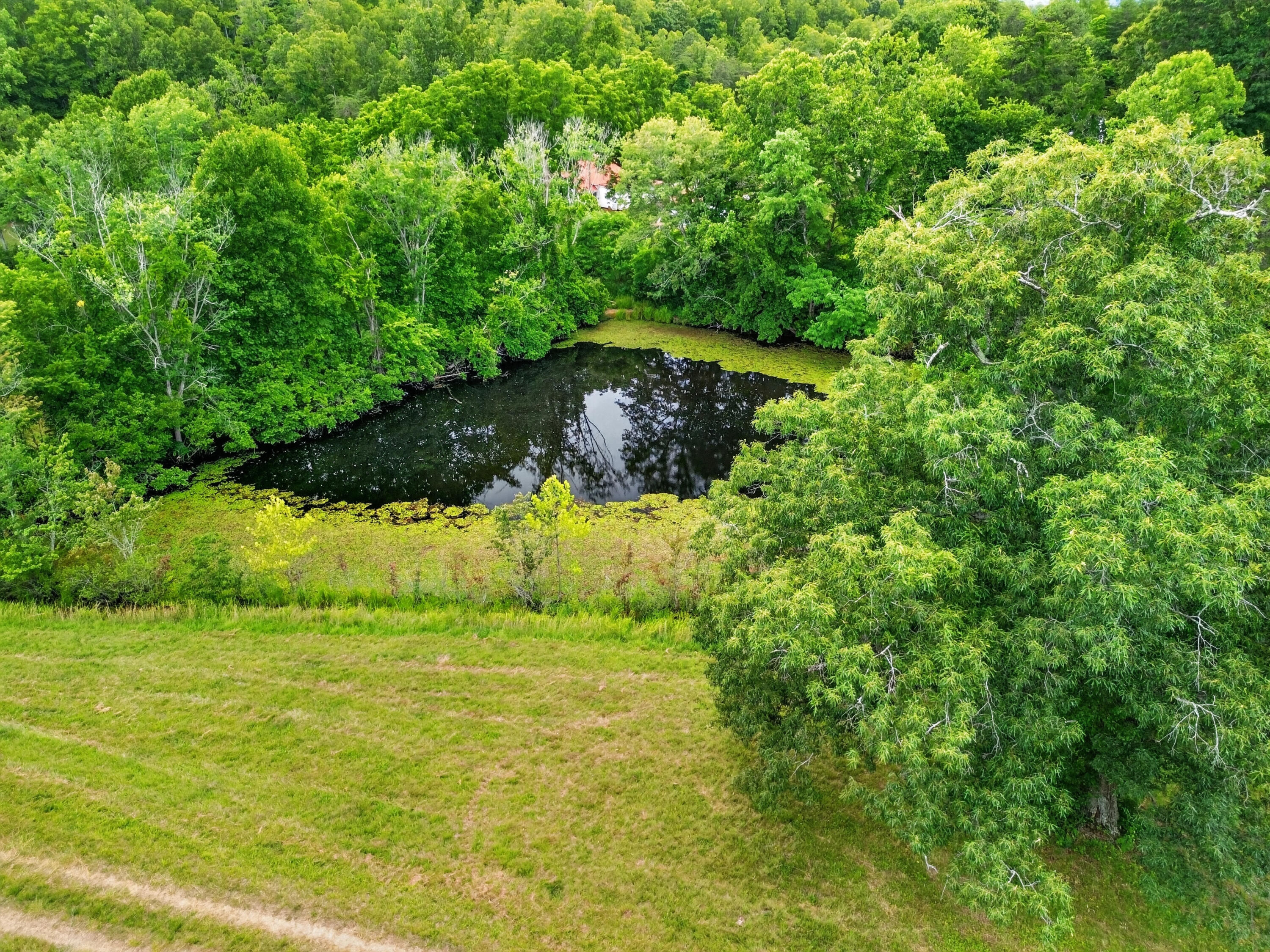 317 Beards Creek Road Ferrum, VA 24088 - Photo 29 of 32 DJI_0546