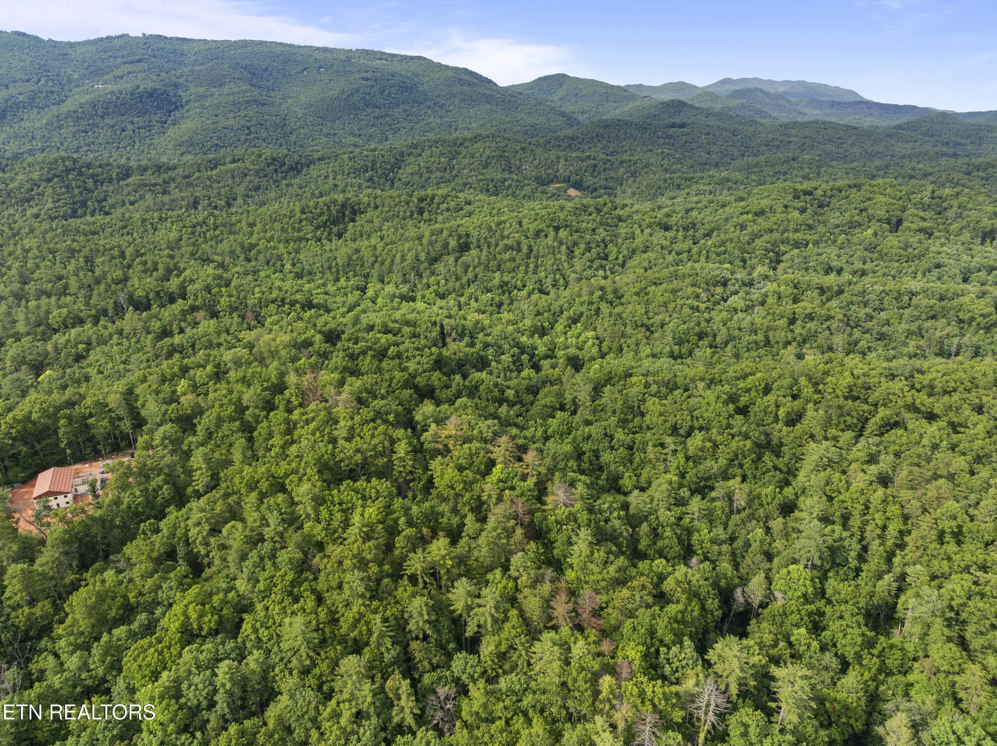 0 Grouse Top (lot 4) Road Walland, TN 37886 - Photo 9 of 10