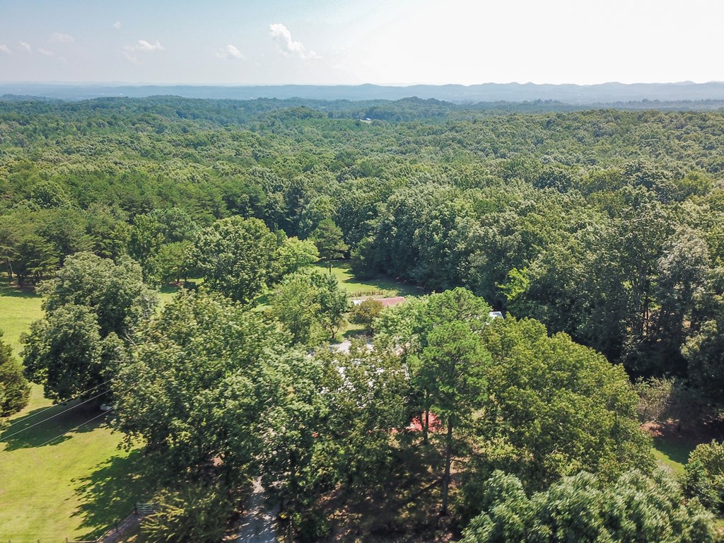 5841 North Marble Top Road Chickamauga, GA 30707 - Photo 31 of 58 Gallery Image 31