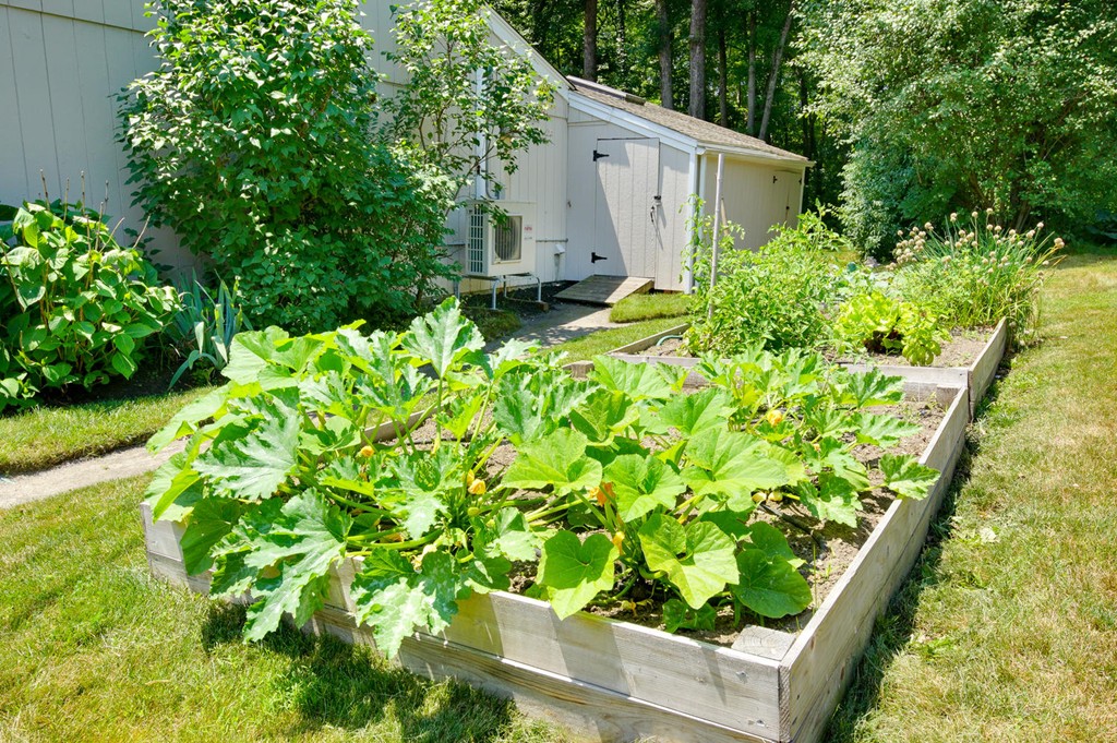 14 Raleigh Road Framingham, MA 01701 - Photo 25 of 30
