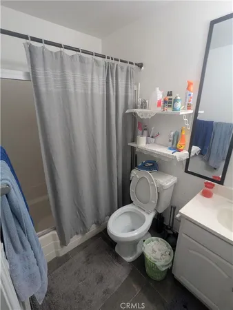 a white toilet sitting next to a shower curtain