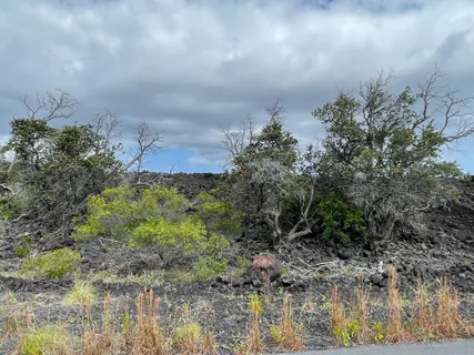 $60,000 | 134 Kona Garden Drive, Captain Cook, HI 96704