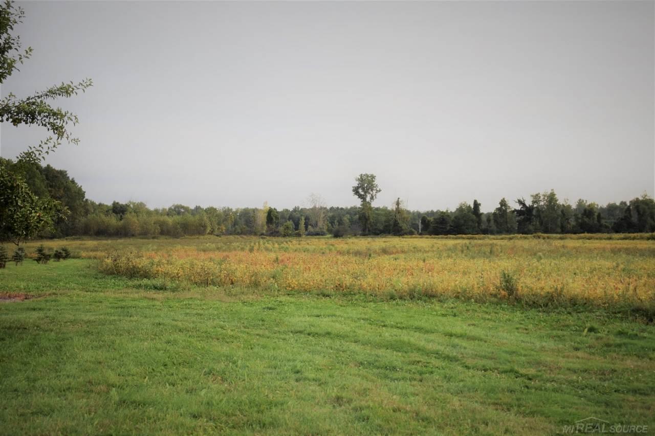 4370 Applegate Road Applegate, MI 48401 - Photo 26 of 33 31360757-25.JPG