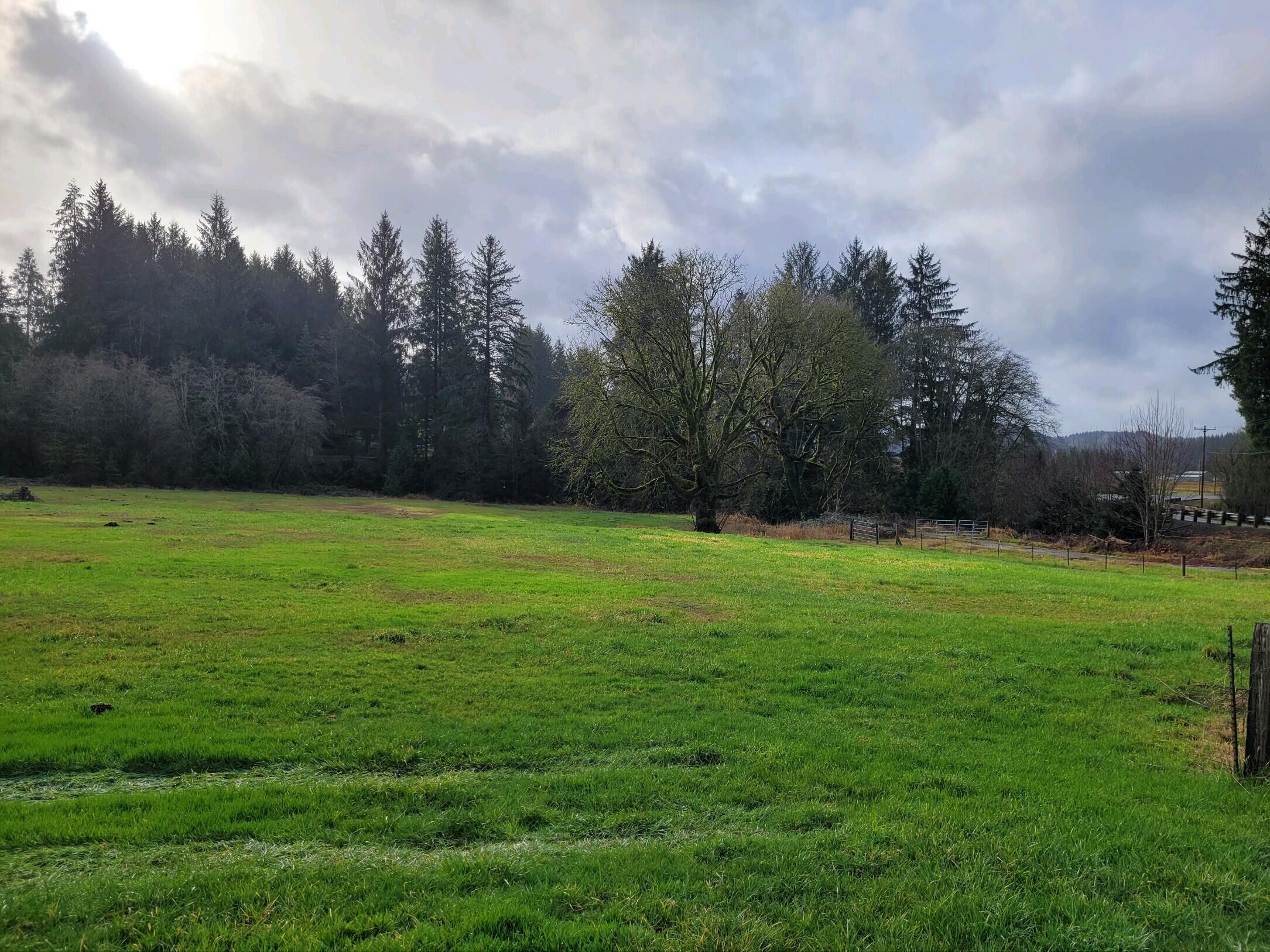 800 Fawcett Creek Road Tillamook, OR 97141 - Photo 2 of 3 20240105_115907