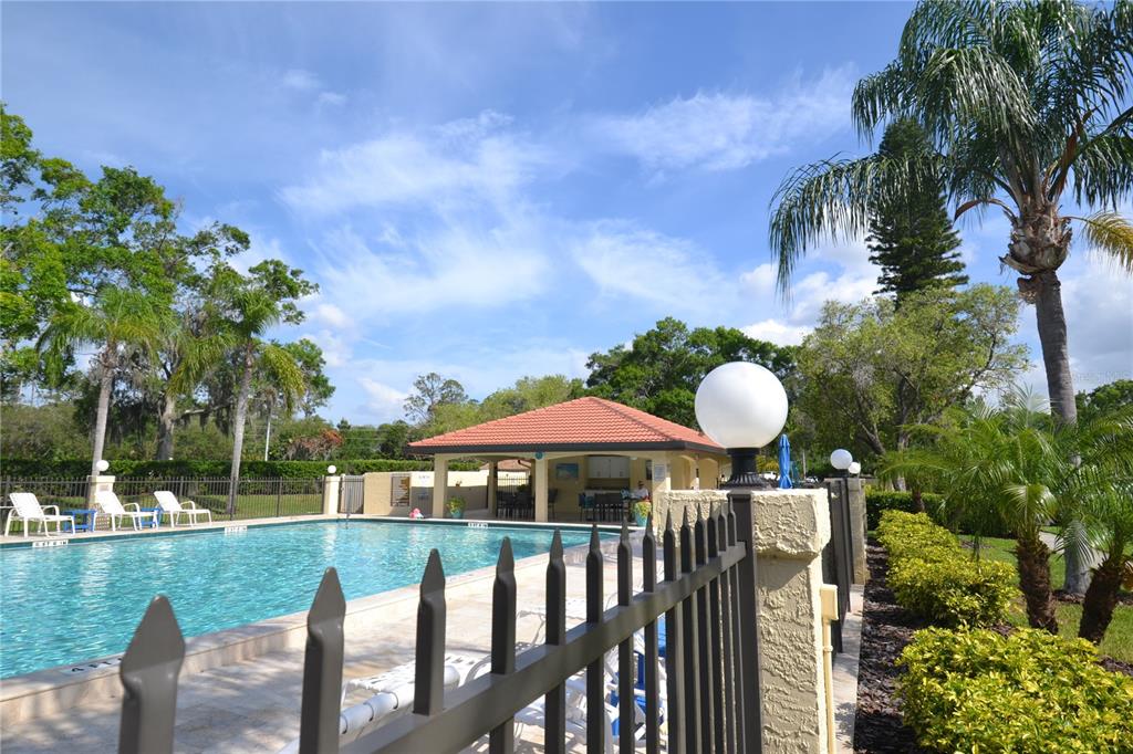 1801 East Lake Road South, Unit 9E Palm Harbor, FL 34685 - Photo 40 of 43