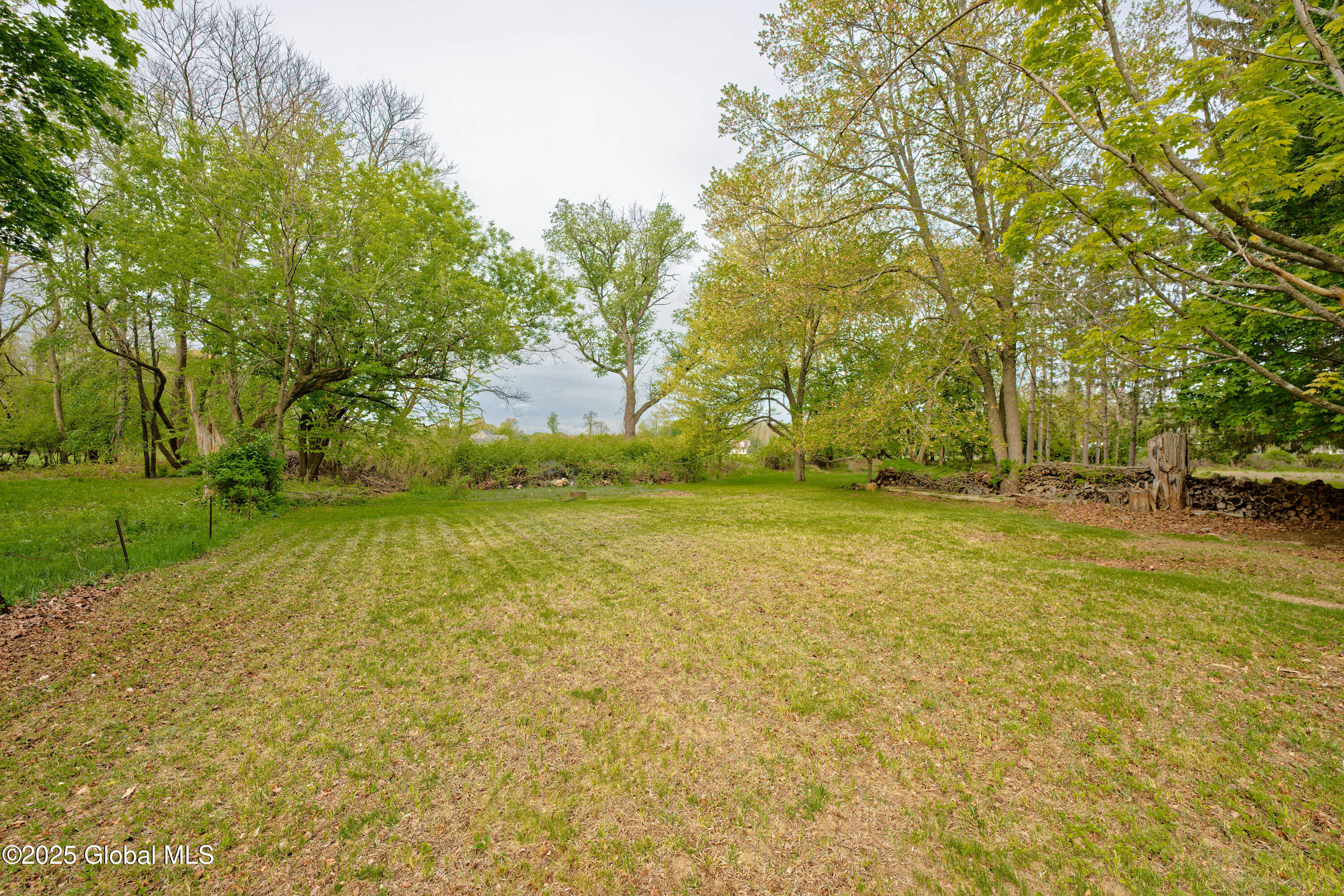 2775 Curry Road Guilderland, NY 12303 - Photo 38 of 46 Yard 5