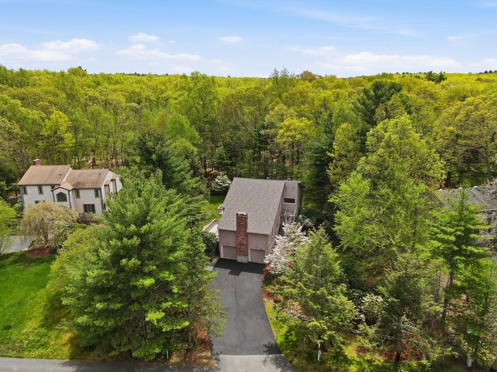 202 Hampton Road Sharon, MA 02067 - Photo 40 of 42