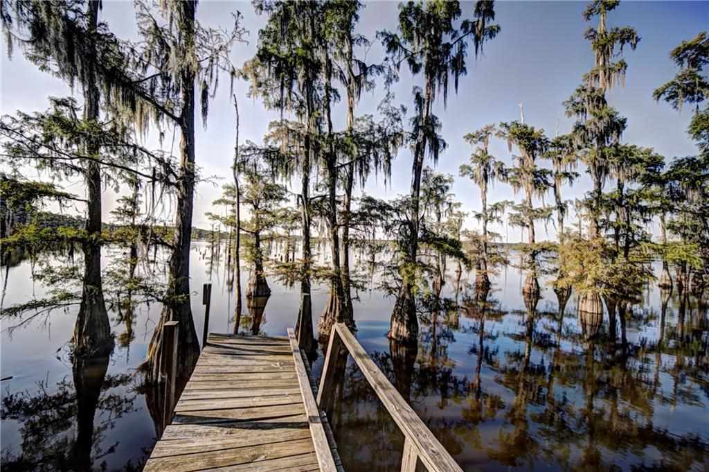 121 Elliott Road Campti, LA 71411 - Photo 16 of 18 Gallery Image 16