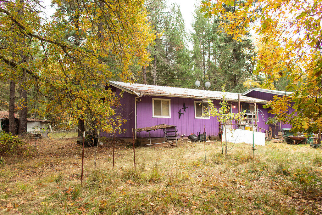 333 Queen Of Bronze Road Cave Junction, OR 97523 - Photo 2 of 22 BrielleLeayDesigns-2