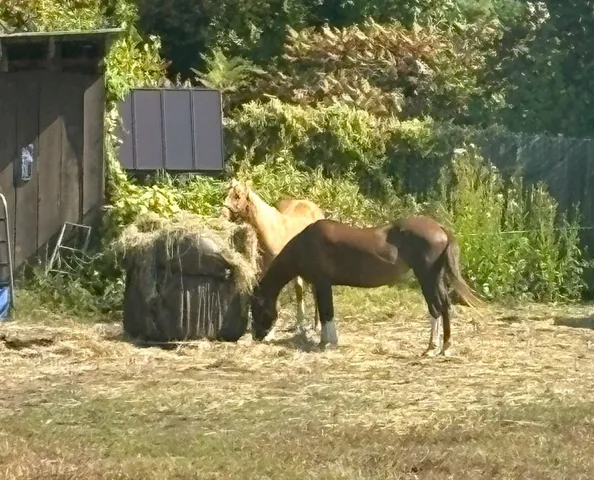 $275,000 | 19 Back Ashuelot Road, Winchester, NH 03441