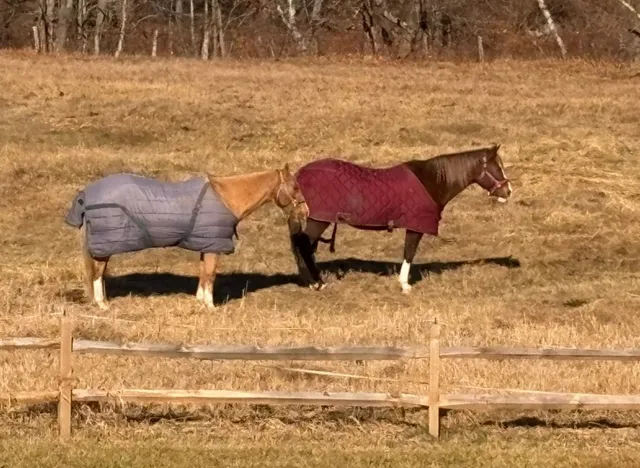 $275,000 | 19 Back Ashuelot Road, Winchester, NH 03441