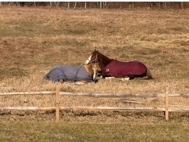 $275,000 | 19 Back Ashuelot Road, Winchester, NH 03441