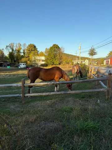 $275,000 | 19 Back Ashuelot Road, Winchester, NH 03441