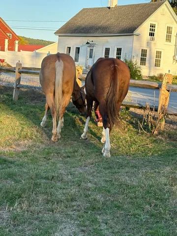 $275,000 | 19 Back Ashuelot Road, Winchester, NH 03441