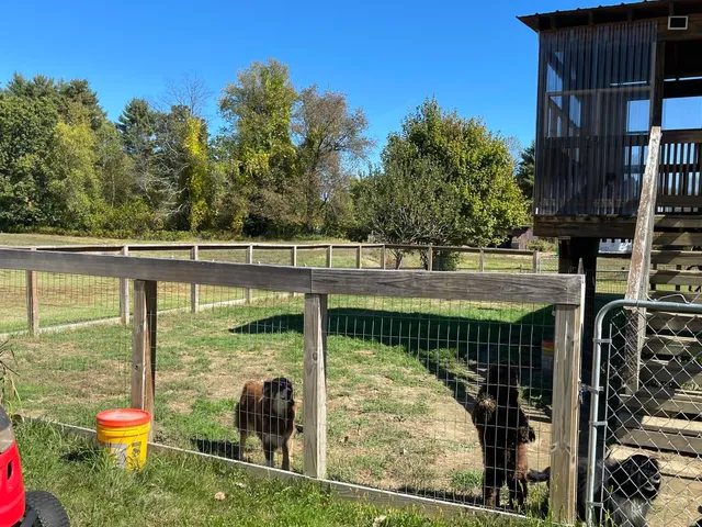 $275,000 | 19 Back Ashuelot Road, Winchester, NH 03441