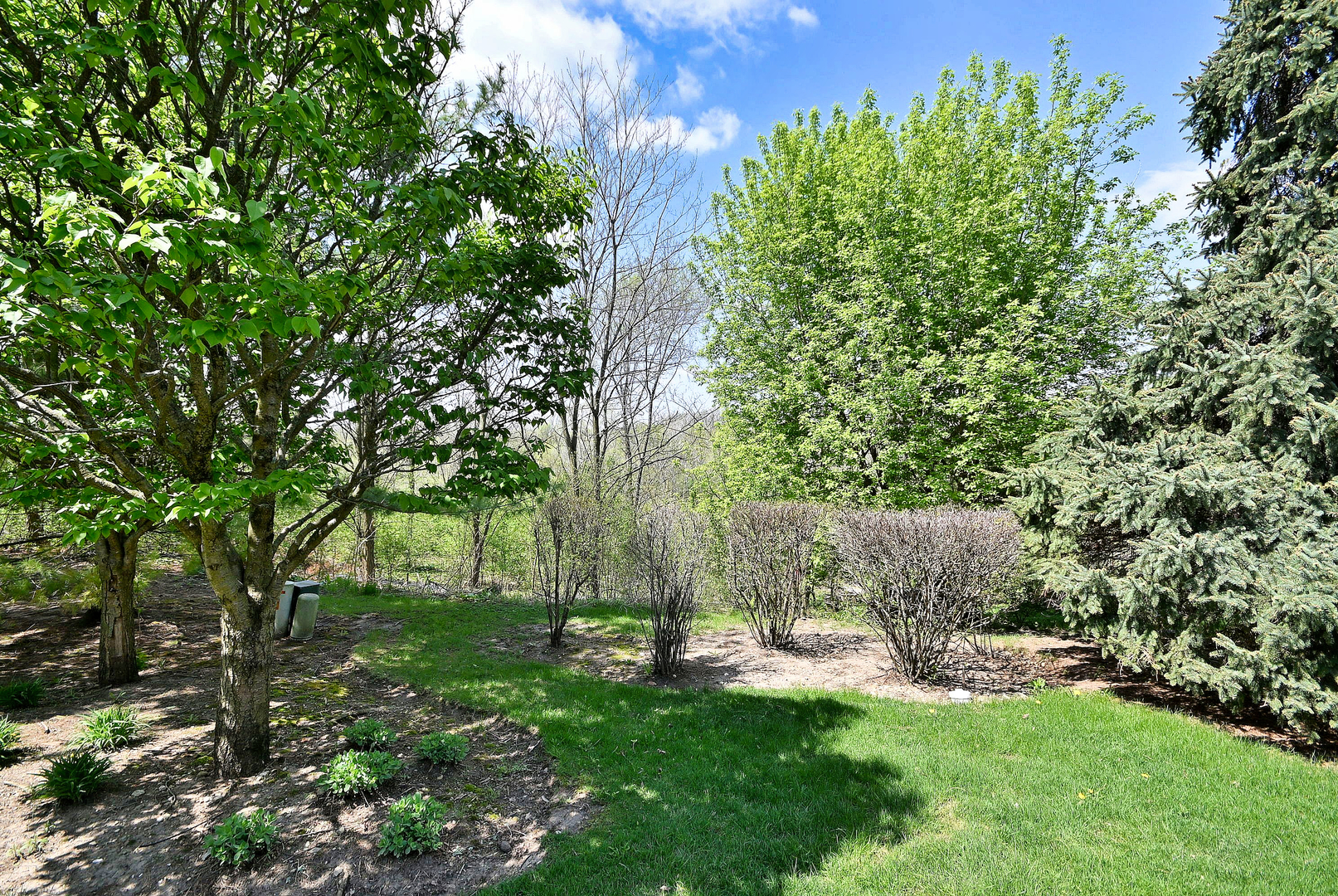 967 Oak Ridge Boulevard Elgin, IL 60120 - Photo 29 of 30