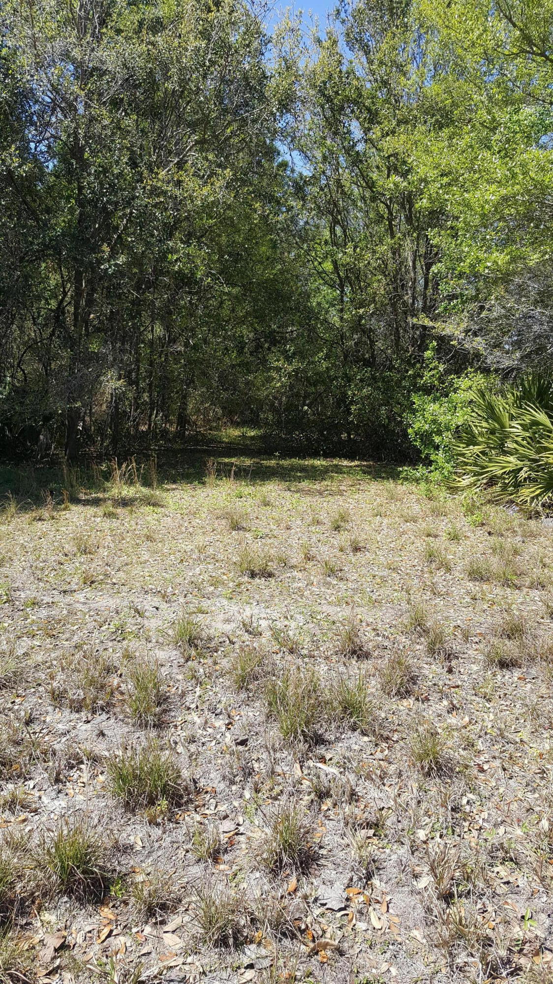 5959 Fort Caroline Road Jacksonville, FL 32277 - Photo 1 of 1 Hull land 2 pic